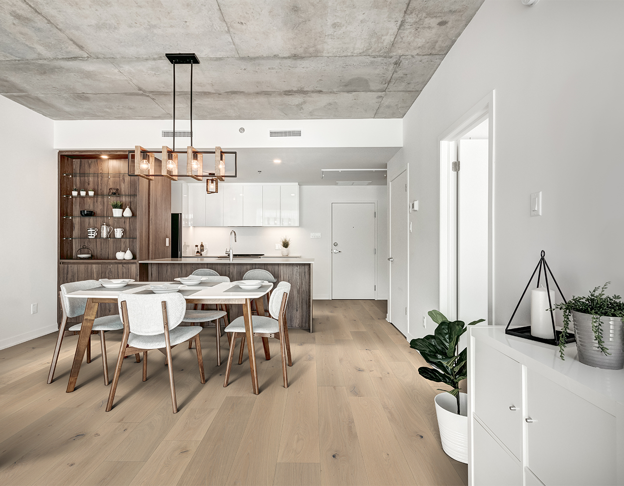 Castillian Premier 9.44" European White Oak