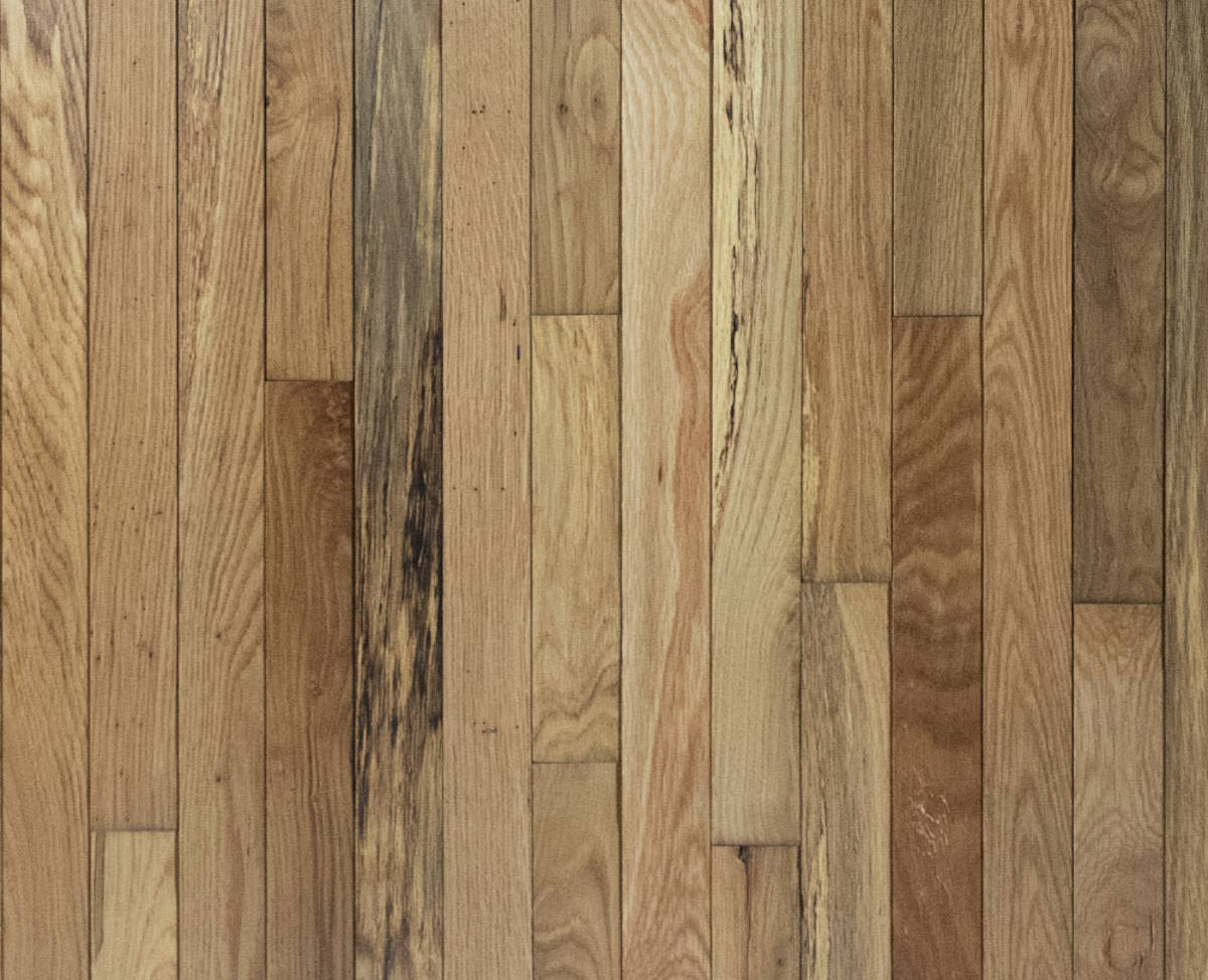 Shenandoah 2 1/4" White Oak